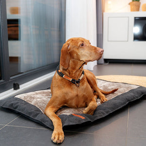 Hundedecken