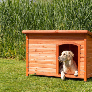 Hundehütten