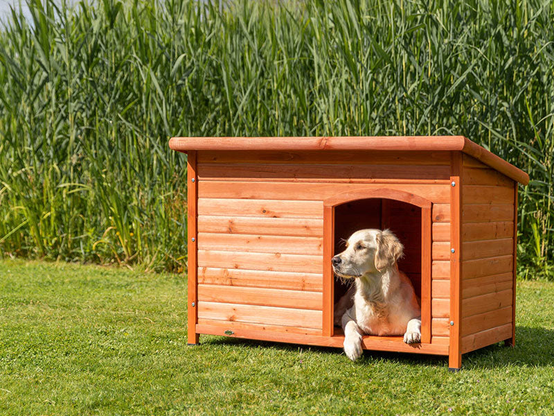 Hundehütten