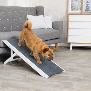 Hunderampen & Treppen