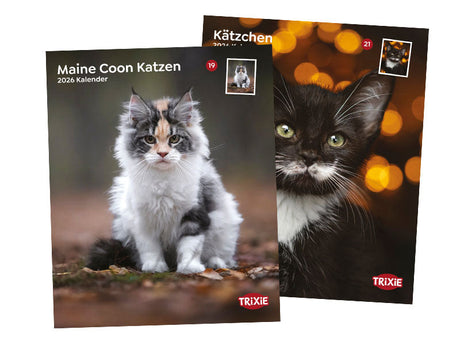 Katzenkalender