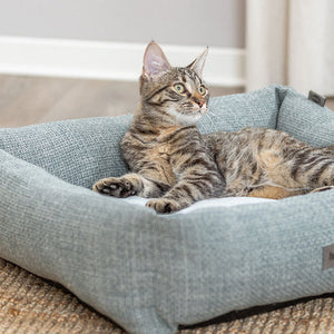Katzenbetten
