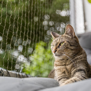 Katzennetze & Schutzgitter