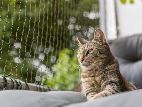 Katzennetze und Schutzgitter