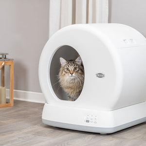 Katzentoiletten