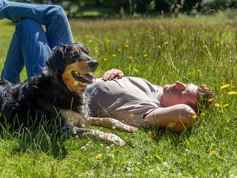 Sommer mit TRIXIE
