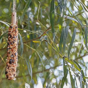 Vogelfutter