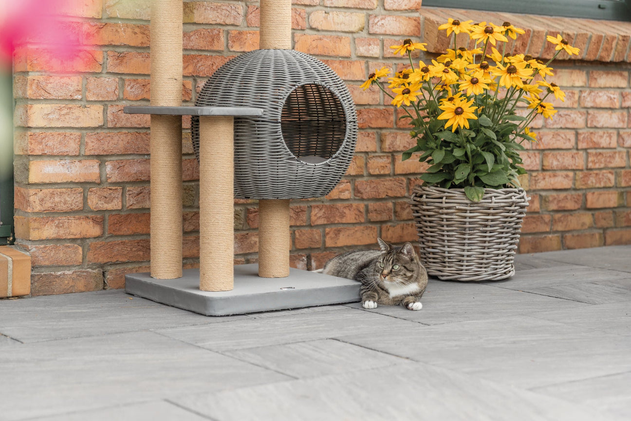 Outdoor Katzenzubehör für Garten & Balkon