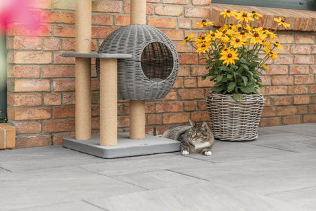 Outdoor Katzenzubehör für Garten & Balkon