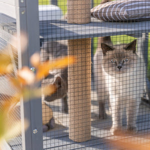 Freilaufgehege für Katzen