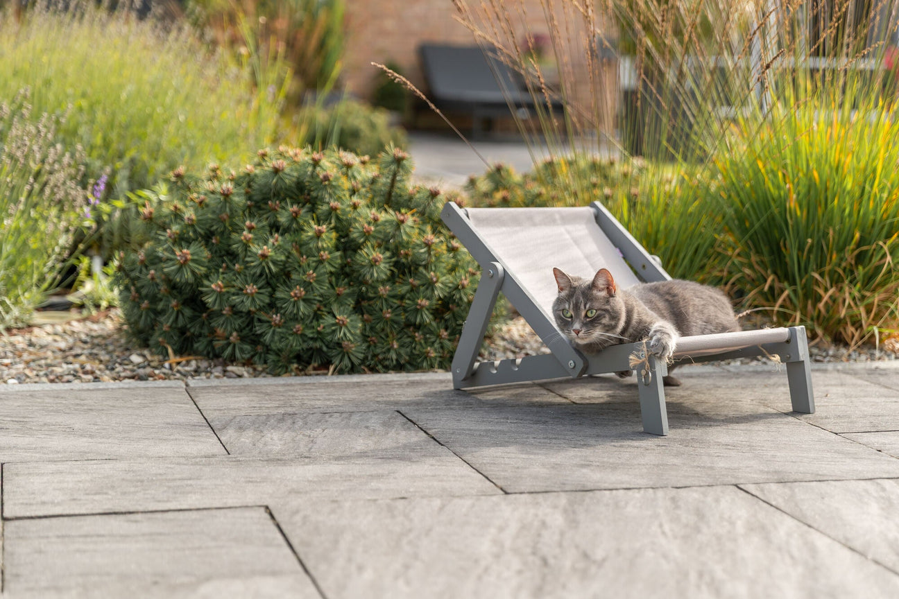 Outdoor Liegeplätze für Katzen