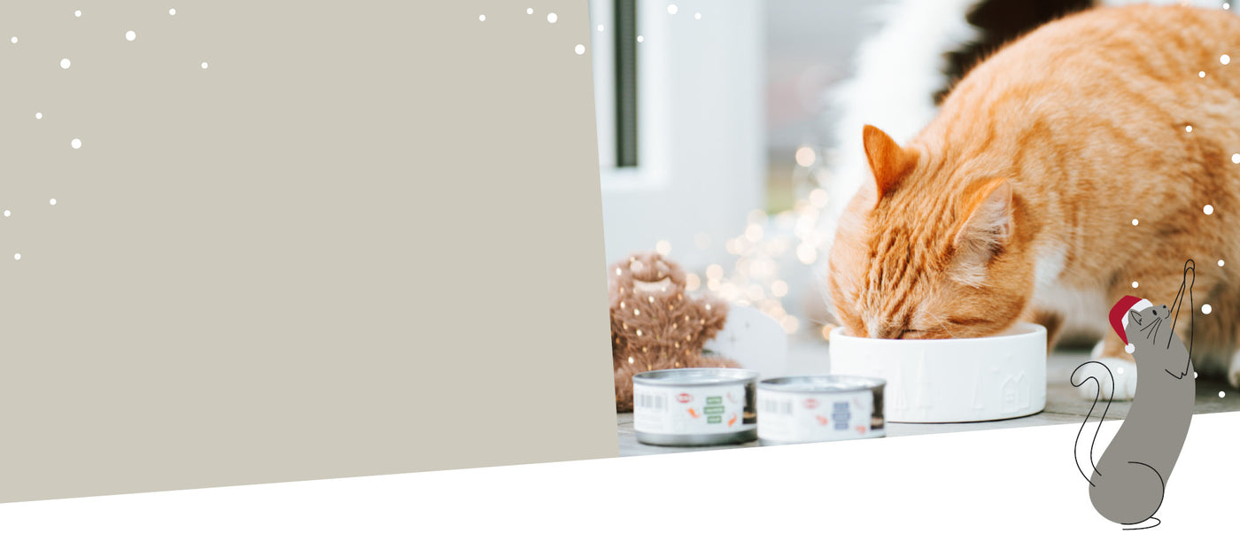 Katze frisst festlich dekorierte Katzensuppe aus Napf – TRIXIE Festtagssuppe für besondere Momente