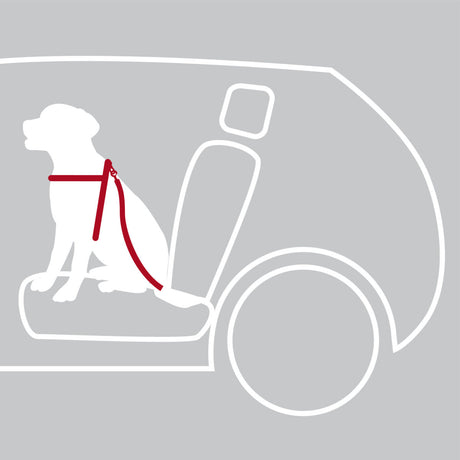 Weiße Silhouette eines Hundes auf einem Autositz mit rotem Gurt, grauer Hintergrund, Linie des Fahrzeugs sichtbar.