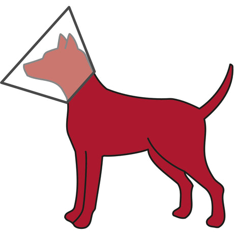 Roter Hund mit Halskragen in dreieckiger Form.