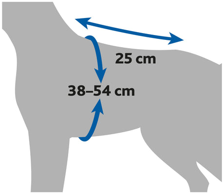 Grafik eines Tierkörpers mit Maßen von 25 cm Länge und 38–54 cm Umfang, blaue Pfeile zeigen Messbereiche.