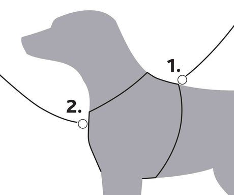 Diagramm eines grauen Hundes mit zwei markierten Punkten, die Umrisse eines Geschirrs zeigen.
