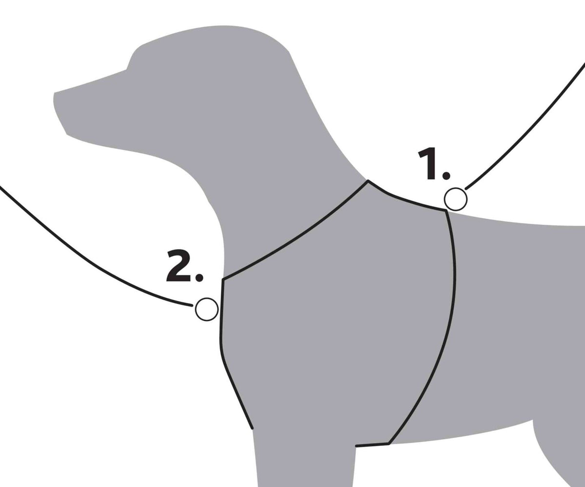 Diagramm eines grauen Hundes mit zwei markierten Punkten, die Umrisse eines Geschirrs zeigen.