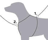 Diagramm eines grauen Hundes mit zwei markierten Punkten, die Umrisse eines Geschirrs zeigen.