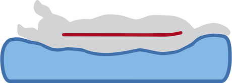 Graue, horizontale Silhouette eines Hundes oder Hasen auf einem blauen Kissen, rote Linie auf dem Rücken.