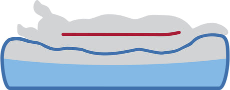 Graue Silhouette eines liegenden Tieres auf hellblauer Unterlage, rot geschwungene Linie parallel dazu.