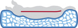 Vital Kissen Bendson