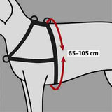 Hundegeschirr-Abbildung mit Maßangabe 65–105 cm für den Brustumfang, schwarzes Geschirr auf grauem Hintergrund.