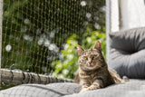 Getigerte Katze liegt auf einem grauen Kissen vor einem Netz im Freien.