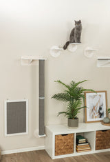 Eine graue Katze sitzt auf weißem Regalsystem an einer hellen Wand.