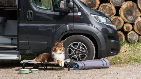 Hund liegt auf einer erhöhten Liege neben einem Van, mit zwei Futternäpfen und einer Isomatte.