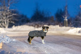 PHO_IMAGE_DOG_AustralianShepherd-Emma-Mantel-Limoux-Schnee-1