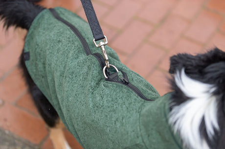 Hund mit grünem Mantel und Leine auf rotem Pflasterweg.