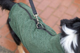 Hund mit grünem Mantel und Leine auf rotem Pflasterweg.