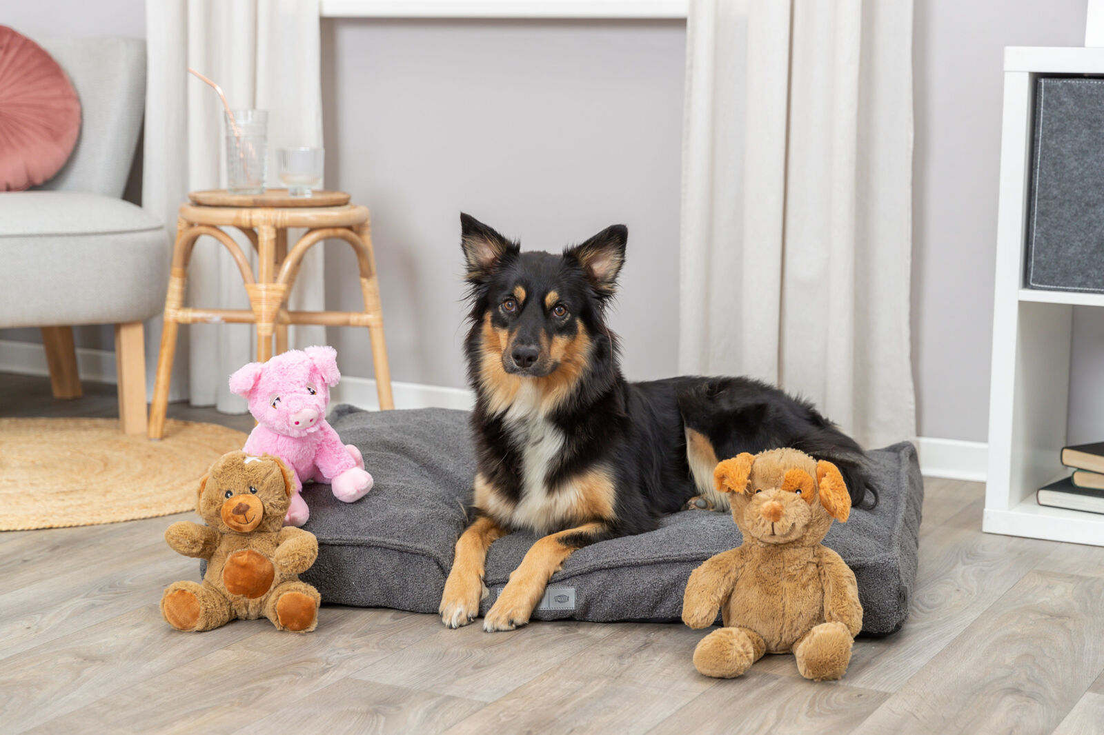 Hund liegt auf grauem Hundebett, umgeben von drei Plüschtieren auf Holzboden.