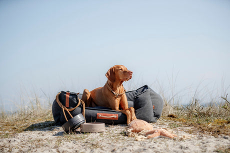 Hund liegt auf grauem Hundebett im Freien, umgeben von Be Nordic Produkten auf Sand.