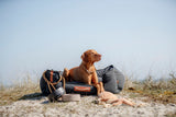 Hund liegt auf grauem Hundebett im Freien, umgeben von Be Nordic Produkten auf Sand.