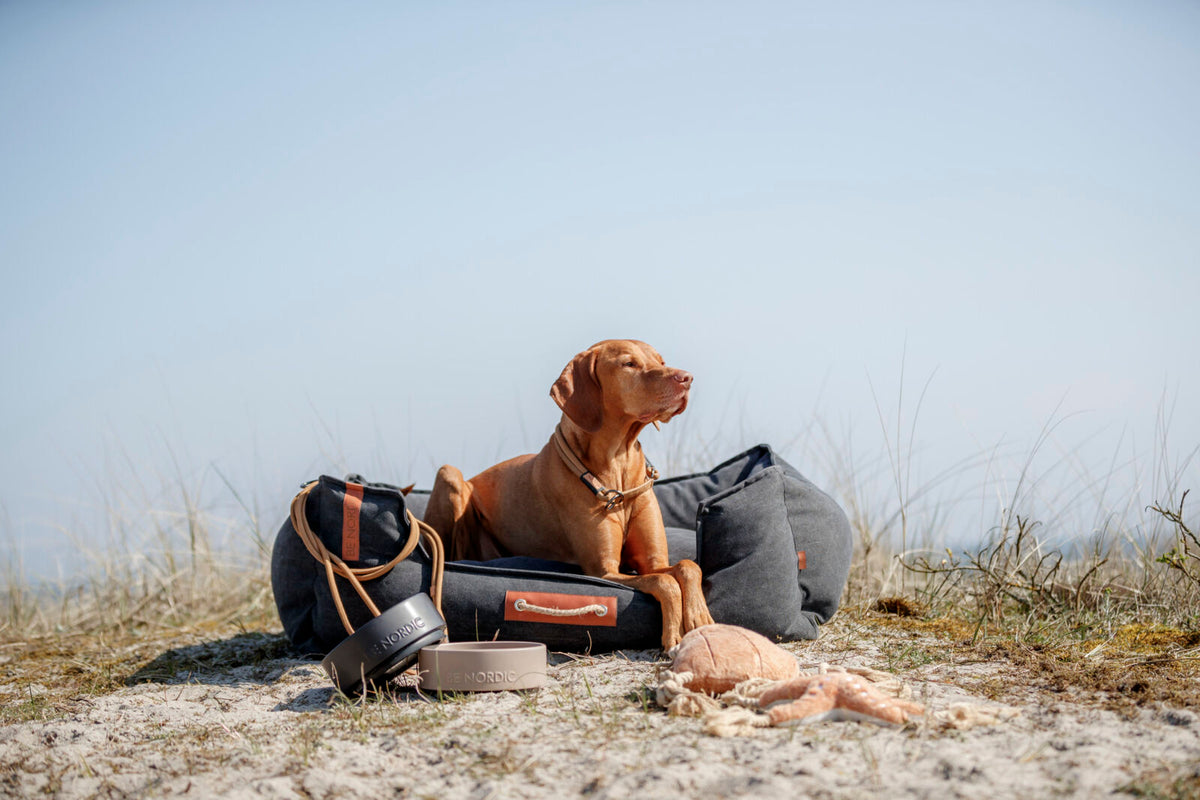 Hund liegt auf grauem Hundebett im Freien, umgeben von Be Nordic Produkten auf Sand.