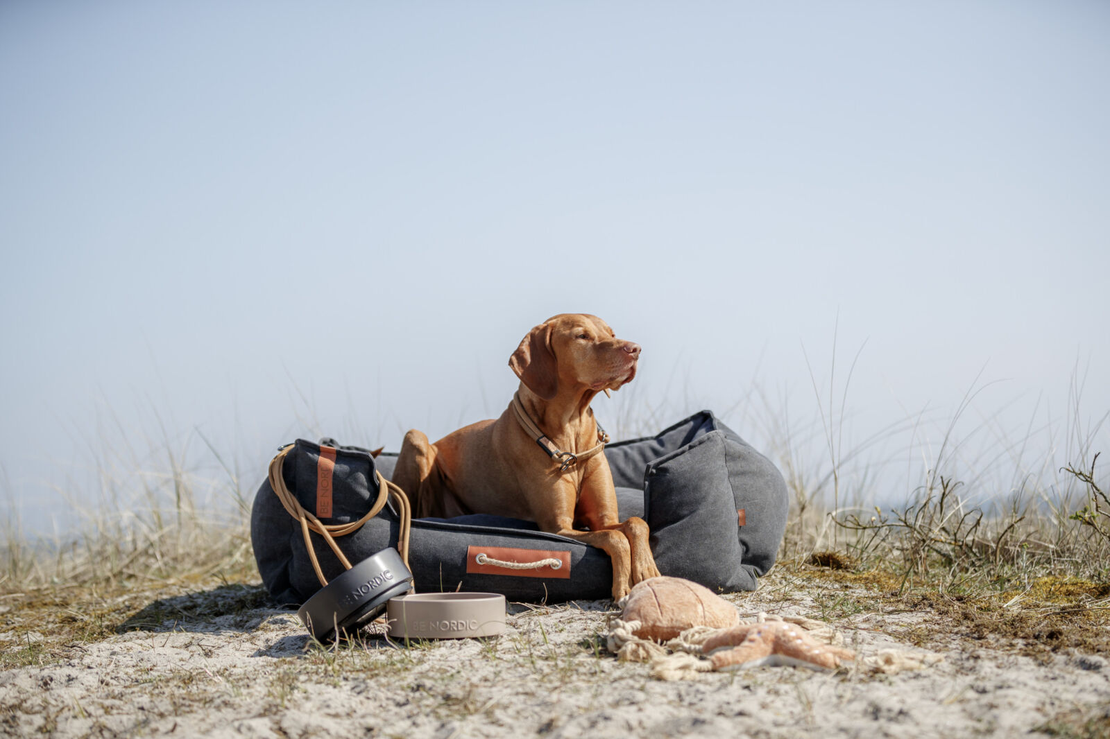 Hund liegt auf grauem Hundebett im Freien, umgeben von Be Nordic Produkten auf Sand.