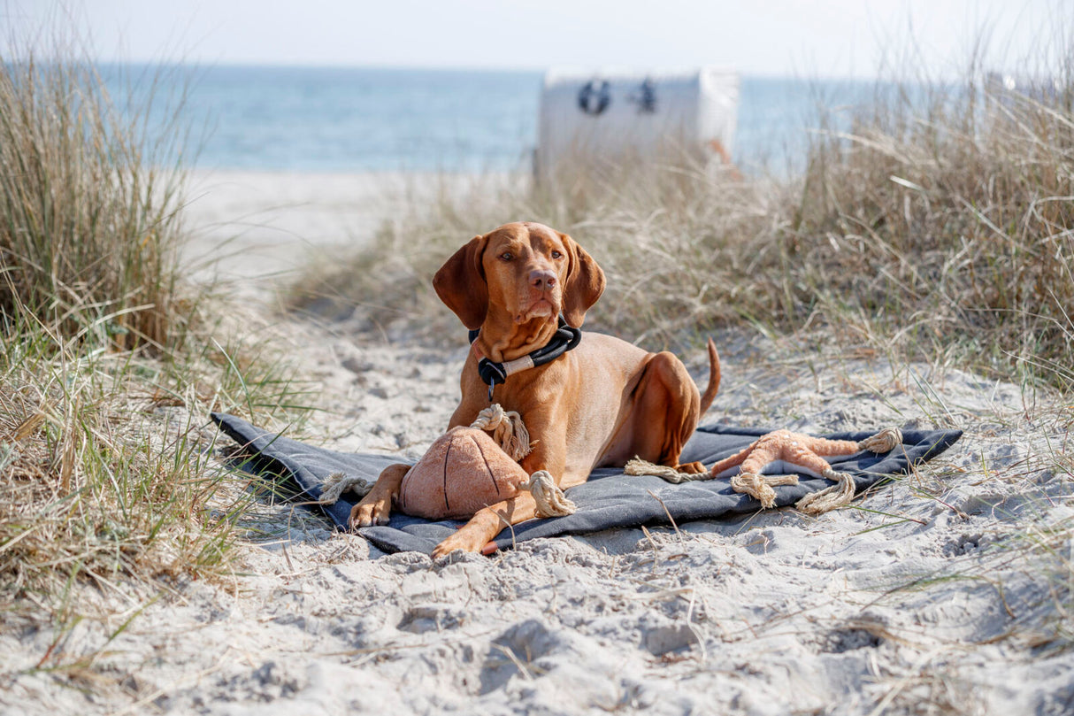 BE NORDIC Liegematte Föhr