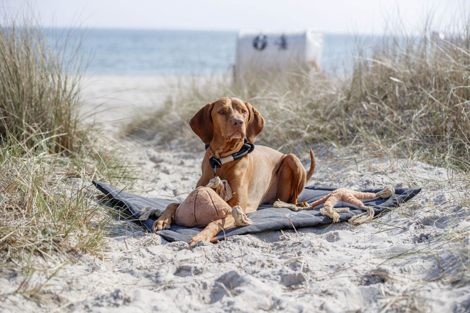 BE NORDIC Liegematte Föhr