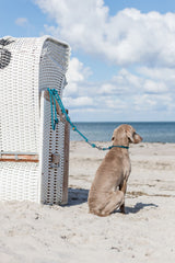 BE NORDIC Verlängerungsleine