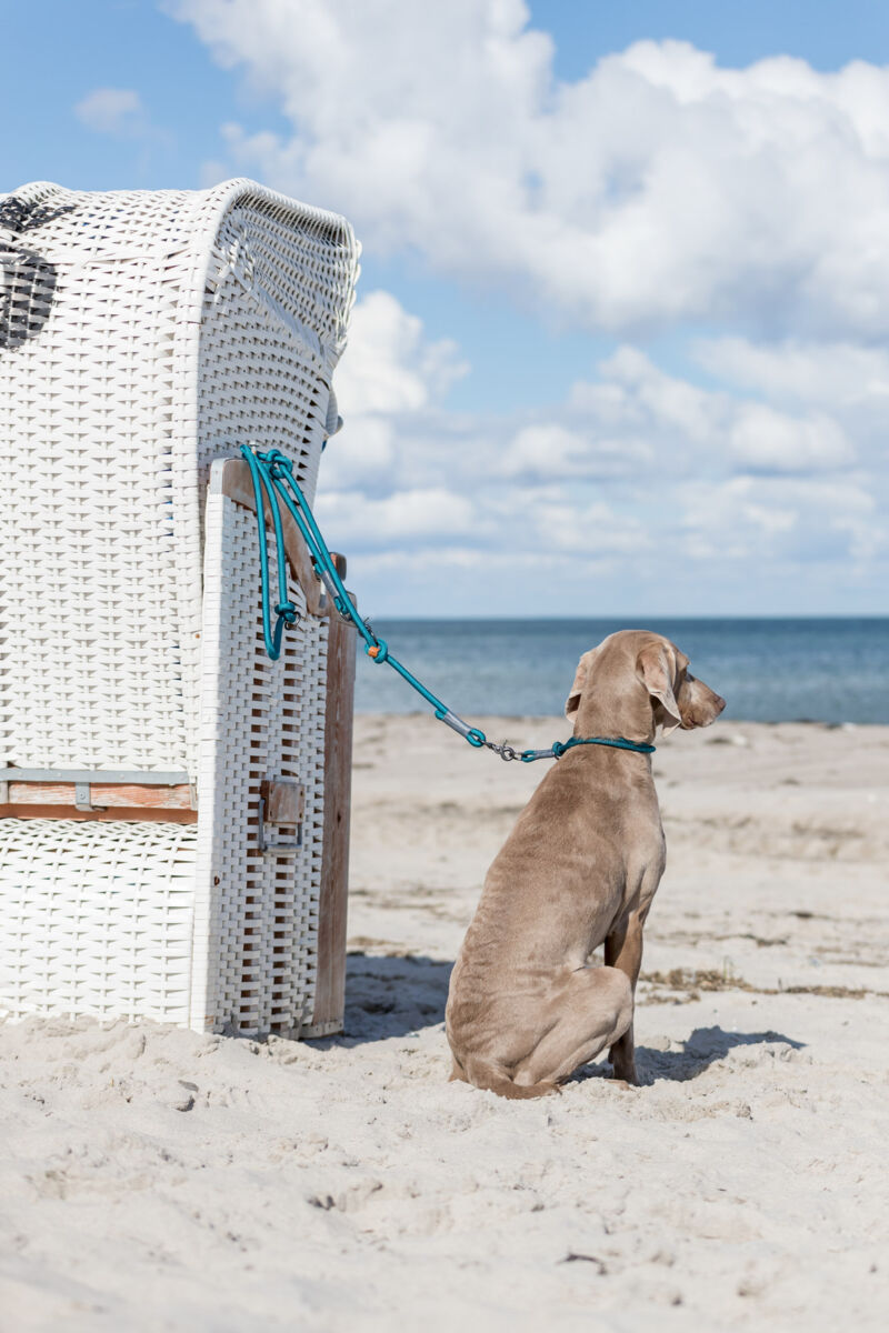 BE NORDIC Verlängerungsleine