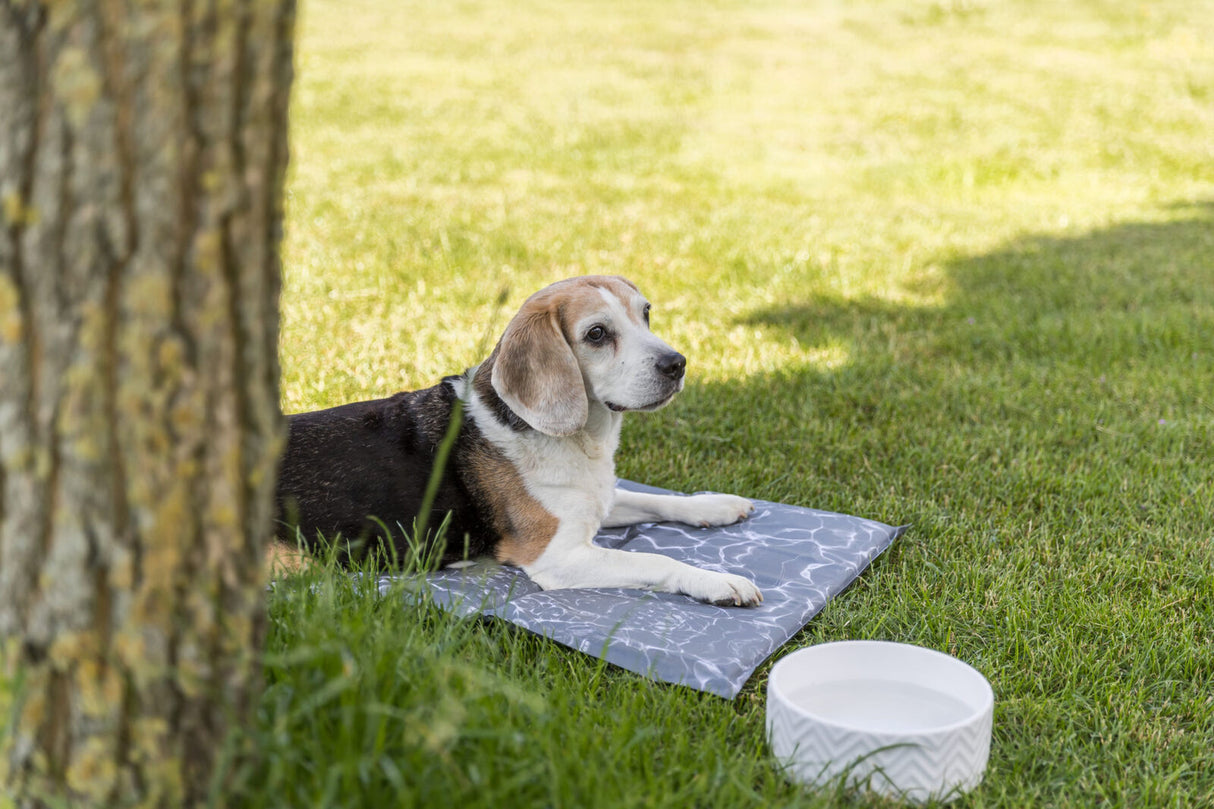 Hund liegt auf einer grauen Matte im Gras neben einem weißen Napf.