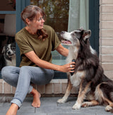 PHO_IMAGE_DOG_BorderCollie-Sonic-Cooper-Tine-Senior-Fenster-Fellpflege-9