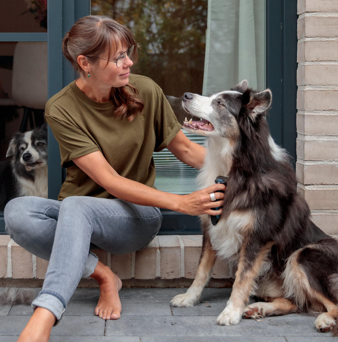 Frau bürstet einen sitzenden Hund vor einer Glastür, ein Hund schaut durch das Fenster.