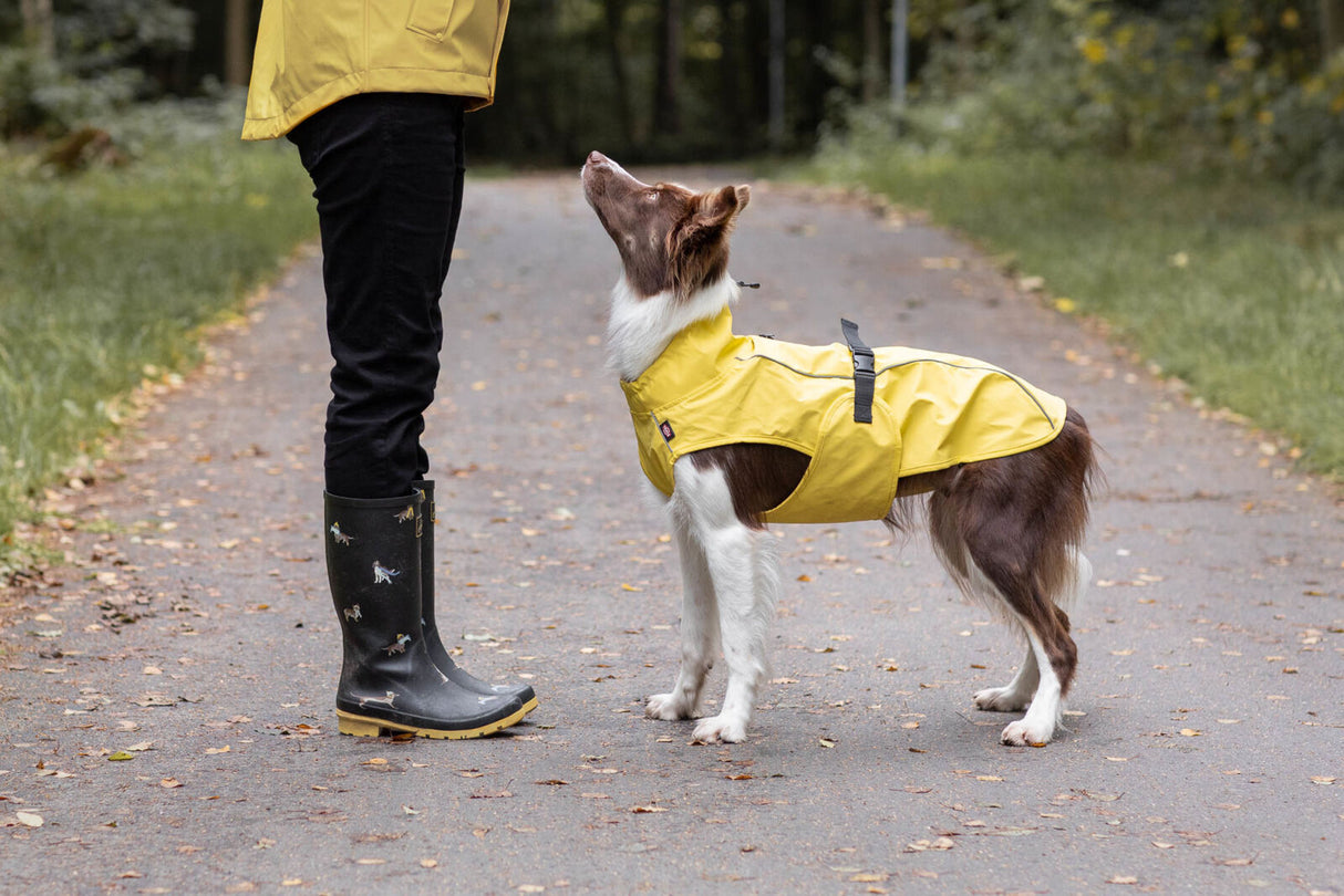 Regenmantel Vimy für Hunde