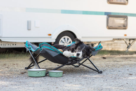 Hund liegt entspannt in einem faltbaren Hundebett vor einem Wohnwagen auf Kiesboden.