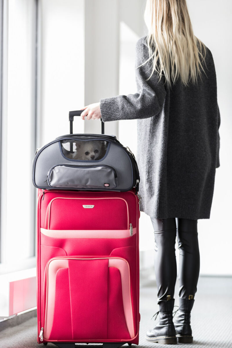 Airline Tasche Wings