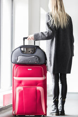 Airline Tasche Wings