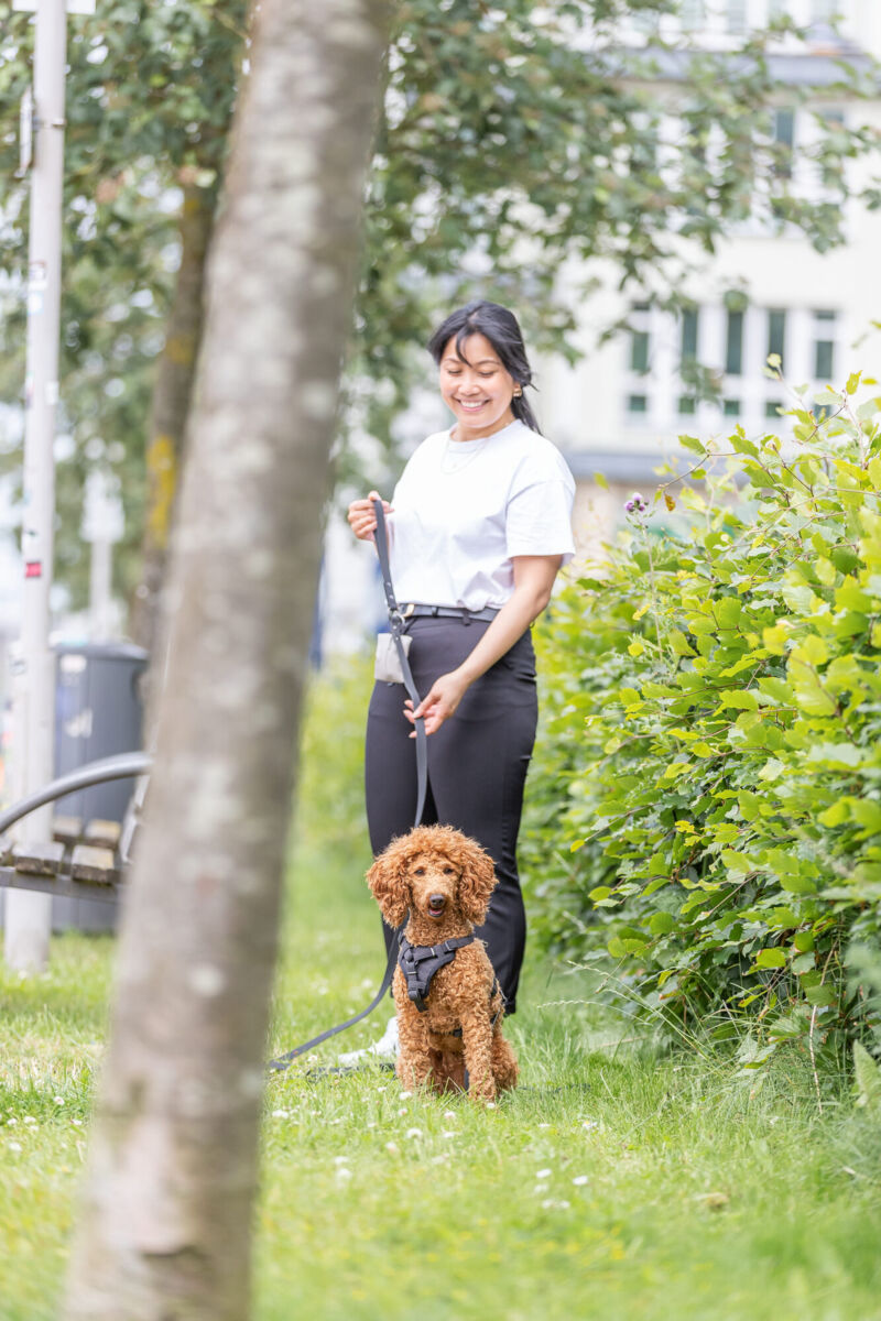 Frau mit weißem T-Shirt hält einen kleinen, lockigen Hund an der Leine auf einer grünen Wiese.