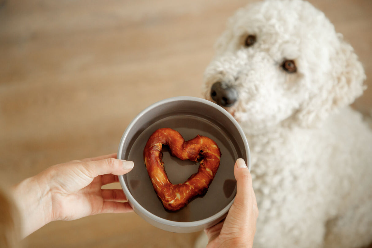 Eine Schüssel mit herzförmigem Hundeleckerli wird einem weißen Hund präsentiert.